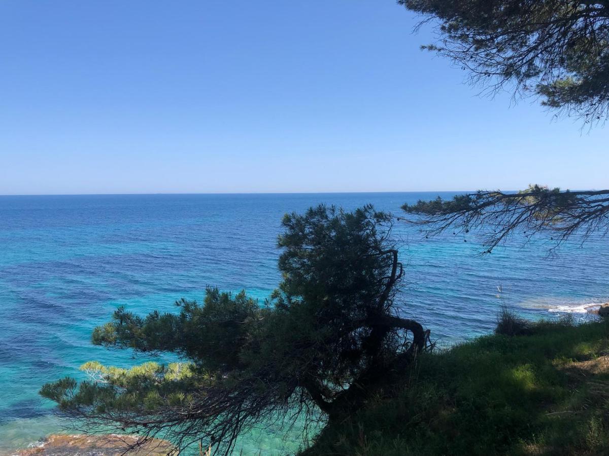 Fabiola 1 Apartman Calpe Kültér fotó