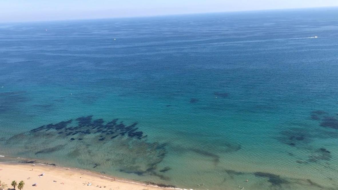 Fabiola 1 Apartman Calpe Kültér fotó
